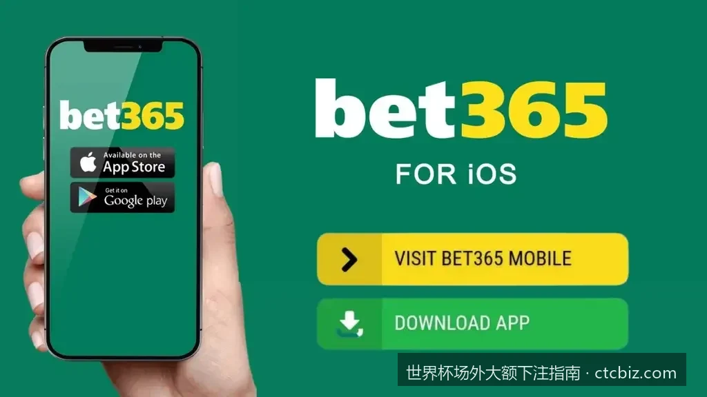 2026世界杯高净值人群场外大额投注资金管理与风控指南